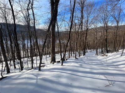 20 Acres Land w/Spring, Waterfall  For Sale Near Jasper, Arkansas - image 20