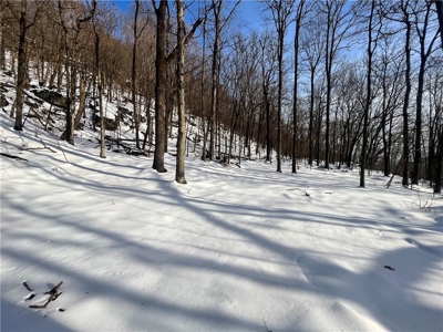 20 Acres Land w/Spring, Waterfall  For Sale Near Jasper, Arkansas - image 4