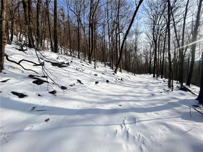 20 Acres Land w/Spring, Waterfall  For Sale Near Jasper, Arkansas - image 19