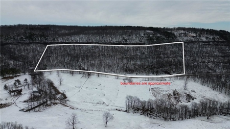 20 Acres Land w/Spring, Waterfall  For Sale Near Jasper, Arkansas - image 2