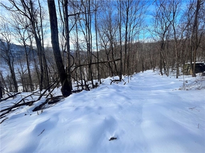 20 Acres Land w/Spring, Waterfall  For Sale Near Jasper, Arkansas - image 13