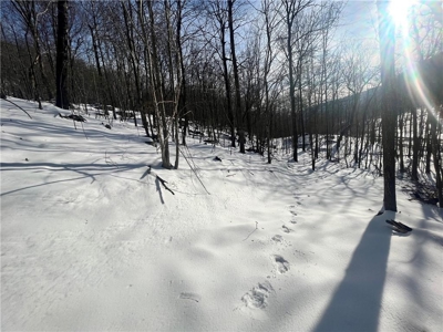 20 Acres Land w/Spring, Waterfall  For Sale Near Jasper, Arkansas - image 26