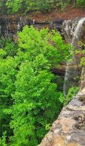 20 Acres Land w/Spring, Waterfall  For Sale Near Jasper, Arkansas - image 8