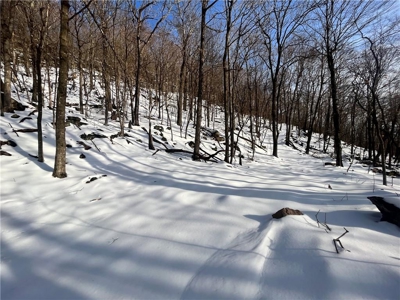 20 Acres Land w/Spring, Waterfall  For Sale Near Jasper, Arkansas - image 17