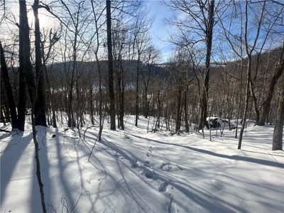 20 Acres Land w/Spring, Waterfall  For Sale Near Jasper, Arkansas - image 27