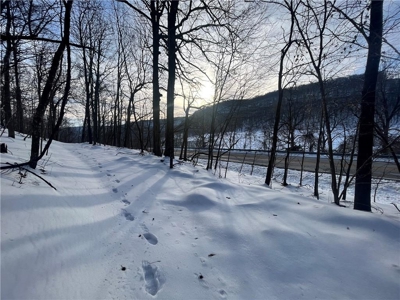 20 Acres Land w/Spring, Waterfall  For Sale Near Jasper, Arkansas - image 11