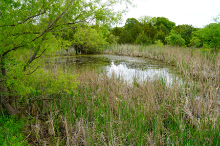 Hunting/Recreational Land For Sale - image 2