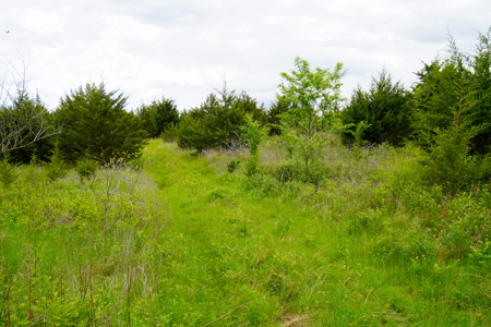 Hunting/Recreational Land For Sale - image 13