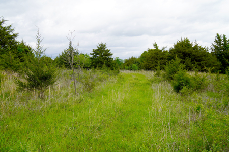 Hunting/Recreational Land For Sale - image 11