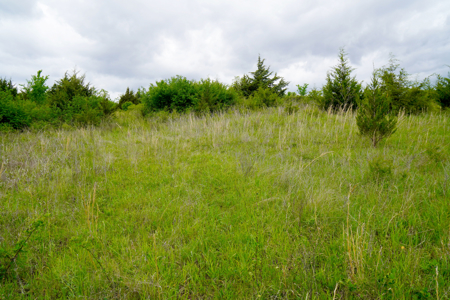 Hunting/Recreational Land For Sale - image 8