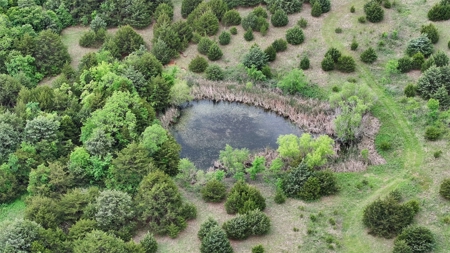 Hunting/Recreational Land For Sale - image 7