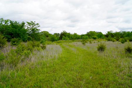 Hunting/Recreational Land For Sale - image 10