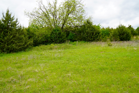 Hunting/Recreational Land For Sale - image 9