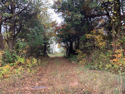 Hunting/Recreational Land For Sale - image 4