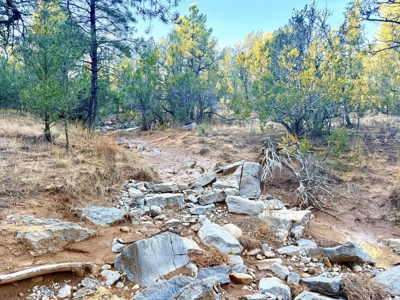 Large Wooded Mountain Land for Sale with Highway Frontage NM - image 1