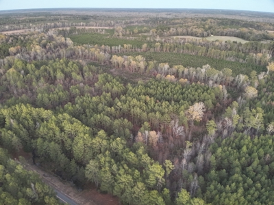 Large Acreage Tract, Hunting, Recreation, and Timber Investment - image 7