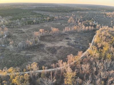 Large Acreage Tract, Hunting, Recreation, and Timber Investment - image 3