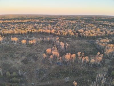 Large Acreage Tract, Hunting, Recreation, and Timber Investment - image 4