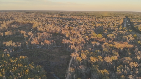 Large Acreage Tract, Hunting, Recreation, and Timber Investment - image 2