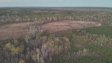 Large Acreage Tract, Hunting, Recreation, and Timber Investment - image 5