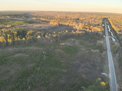 Large Acreage Tract, Hunting, Recreation, and Timber Investment - image 1