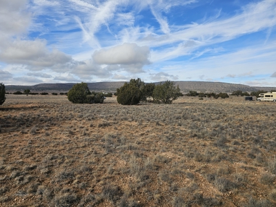 Land in Seligman on Pavement in Bridge Canyon - image 8