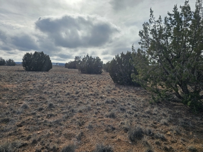 Land in Seligman on Pavement in Bridge Canyon - image 5