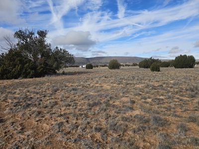 Land in Seligman on Pavement in Bridge Canyon - image 10