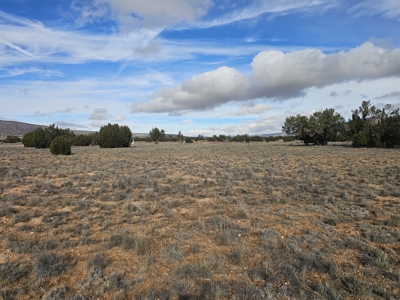 Land in Seligman on Pavement in Bridge Canyon - image 11