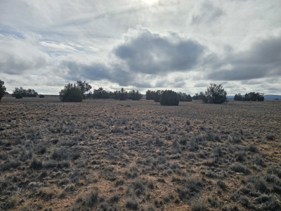 Land in Seligman on Pavement in Bridge Canyon - image 3