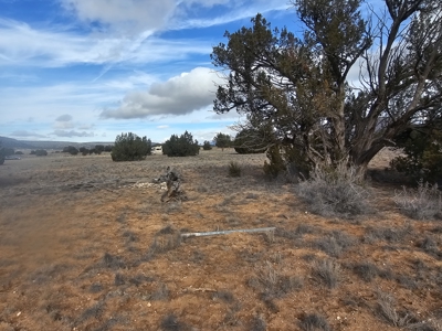 Land in Seligman on Pavement in Bridge Canyon - image 1