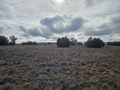 Land in Seligman on Pavement in Bridge Canyon - image 6