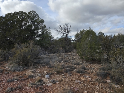 Expansive Desert Retreat in Seligman - image 2