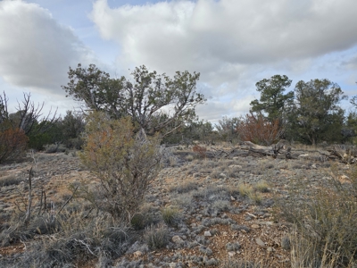 Expansive Desert Retreat in Seligman - image 3