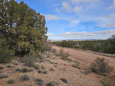 Expansive Desert Retreat in Seligman - image 5