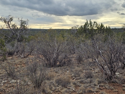 Desert Serenity and Natural Charm in Seligman - image 3