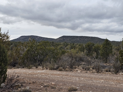 Desert Serenity and Natural Charm in Seligman - image 6