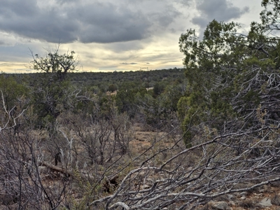 Desert Serenity and Natural Charm in Seligman - image 5
