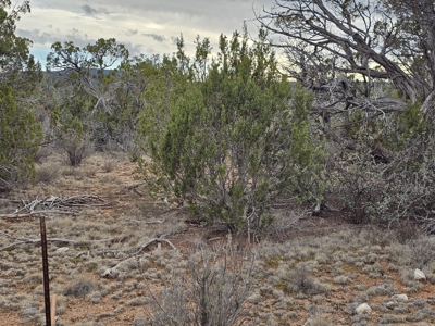 Desert Serenity and Natural Charm in Seligman - image 1