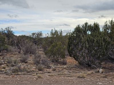 Desert Serenity and Natural Charm in Seligman - image 7