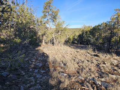 Unique Mountain and Desert Terrain - image 14