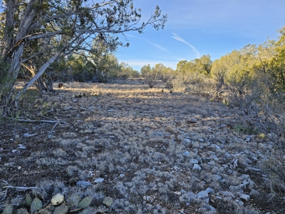 Unique Mountain and Desert Terrain - image 20