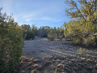 Unique Mountain and Desert Terrain - image 2