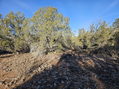 Unique Mountain and Desert Terrain - image 15
