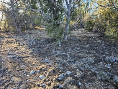 Unique Mountain and Desert Terrain - image 5