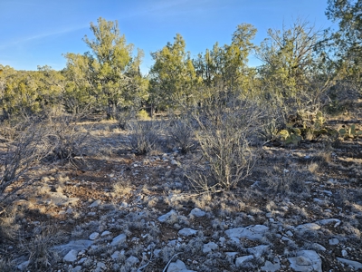 Unique Mountain and Desert Terrain - image 10