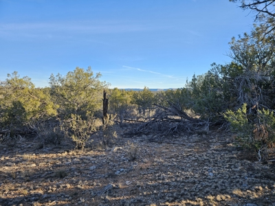 Unique Mountain and Desert Terrain - image 6