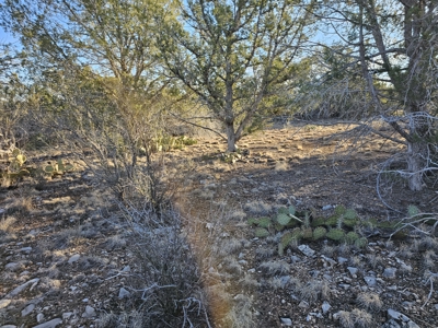 Unique Mountain and Desert Terrain - image 11