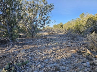 Unique Mountain and Desert Terrain - image 16
