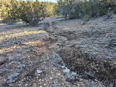 Unique Mountain and Desert Terrain - image 21